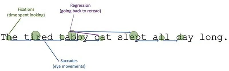 image-15.png